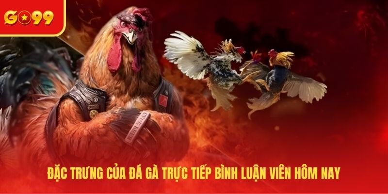 Đặc trưng của đá gà trực tiếp bình luận viên hôm nay